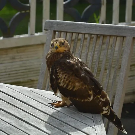 شقة Havehojegaard