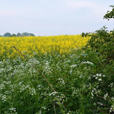 شقة Havehojegaard Borre