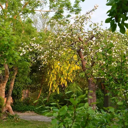 Havehojegaard * Borre