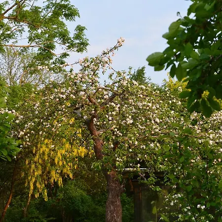 Havehojegaard شقة *