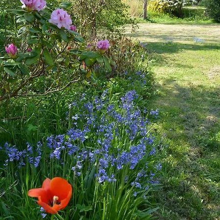 Havehojegaard * Borre