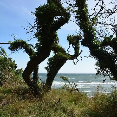 شقة Havehojegaard Borre