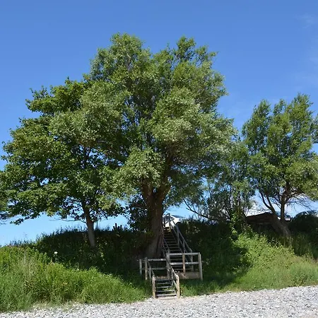 Havehojegaard Apartmán Borre