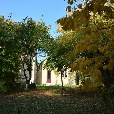 Apartment Havehojegaard