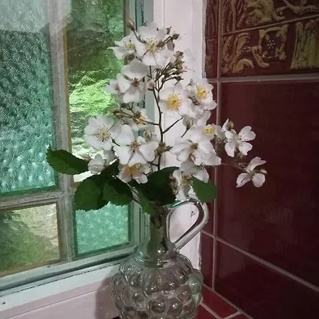 Havehojegaard * 보어